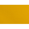 Cover for transport box COOL PET Plus mustard color