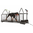 Dog Runner Treadmill – Revolution Pro