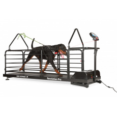 Dog Runner Treadmill – Revolution Pro