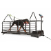 Dog Runner Treadmill – Revolution Pro