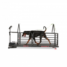 Dog Runner Treadmill - Ortho Pro