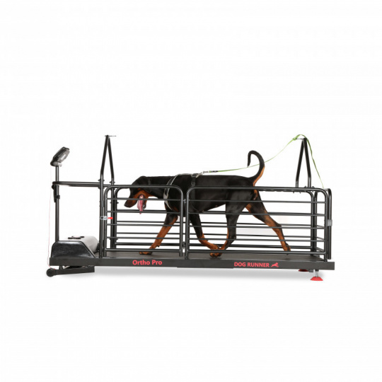 Dog Runner Treadmill - Ortho Pro