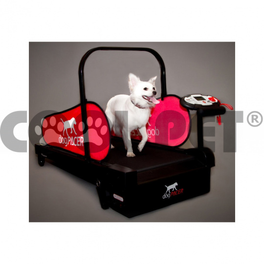 Treadmills for small dogs MINIPACER