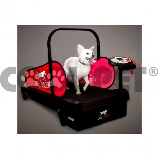 Treadmill for small dogs MINIPACER